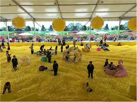 百萬海洋球-0021